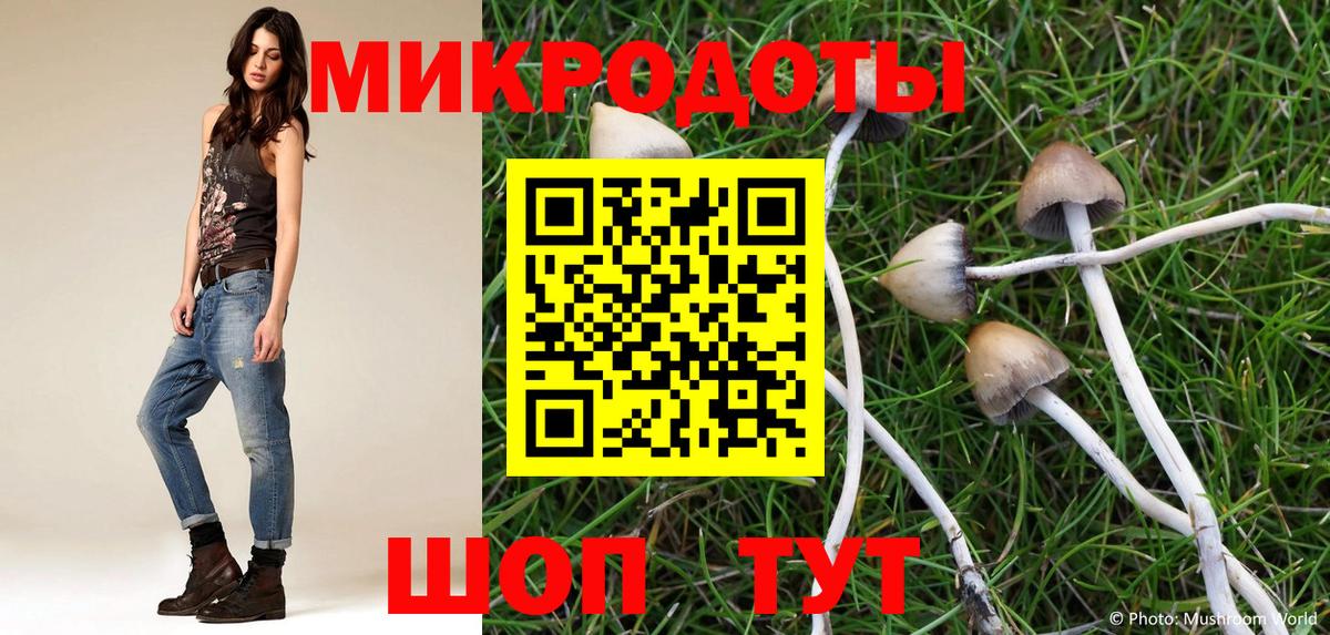 Псилоцибиновые грибы прущие грибы  Псилоцибиновые грибы Psilocybine cubensis  Ставрополь  Вход с VPN 